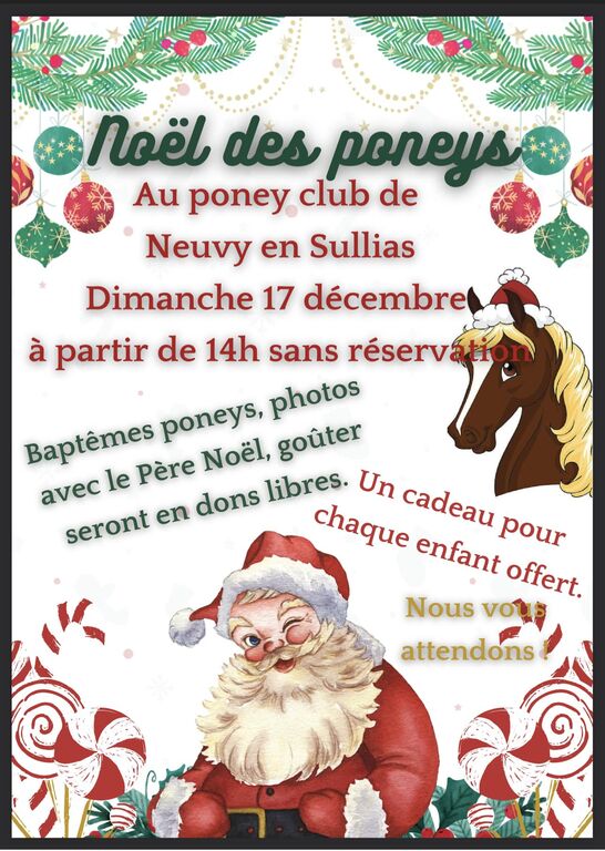 noelponeys