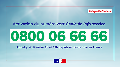 canucule numéro vert 500