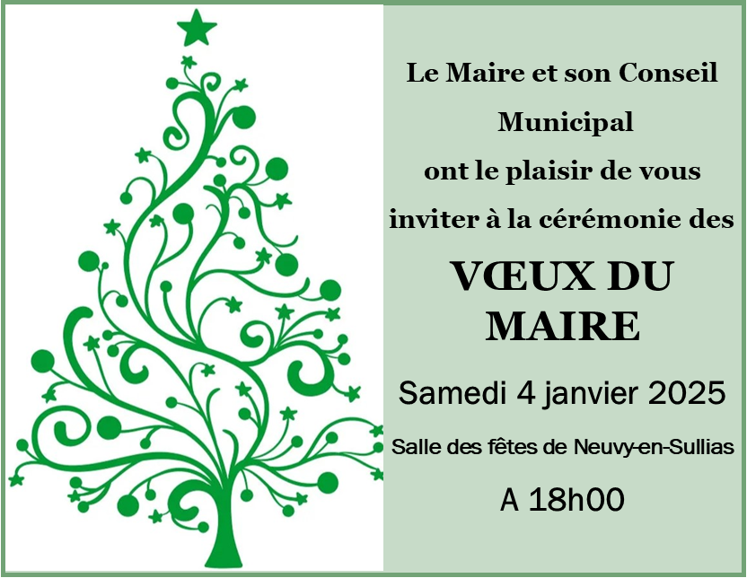 invitation voeux 2025