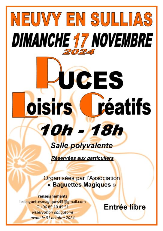 affiche puces a4 2024