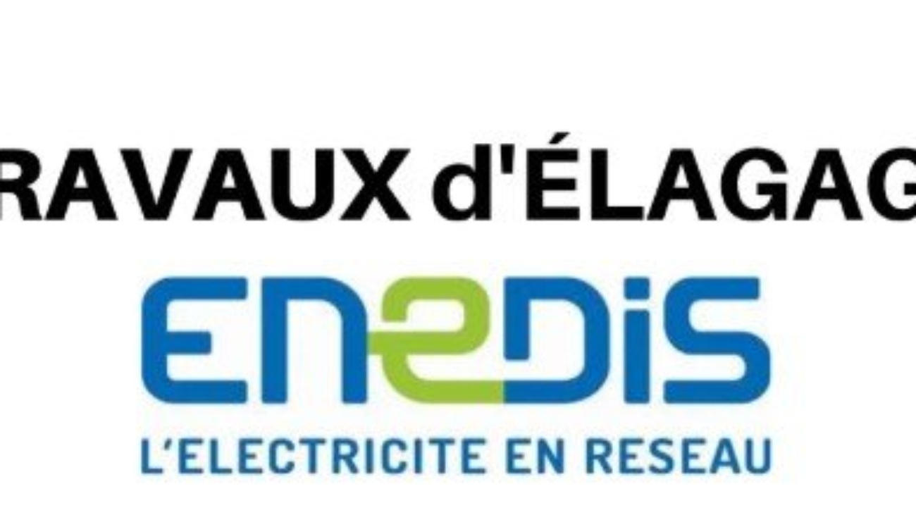 bfa97a49628da4f15711a708ee5e8989_avis-de-tr