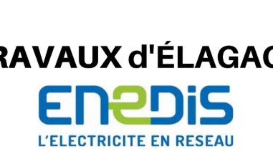 bfa97a49628da4f15711a708ee5e8989_avis-de-tr